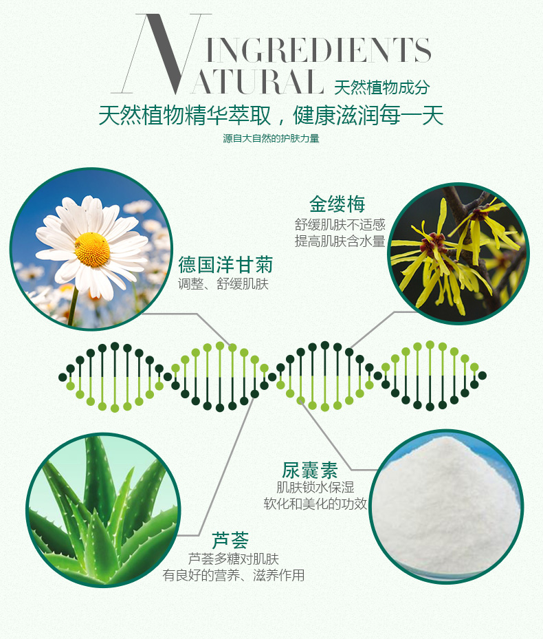 Glysomed佳莉敏洋甘菊轻柔身体乳液500ml补水润肤乳紧致保湿滋润