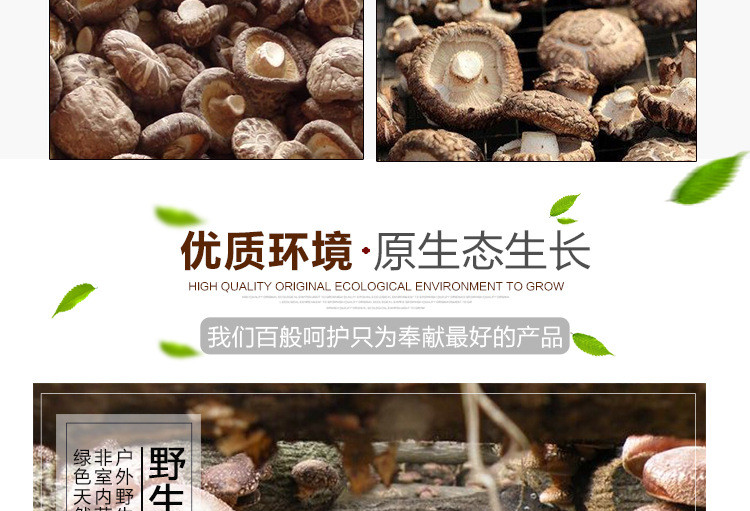 福建特产 富农园香菇208g 干货农产品批发 特级冬菇 食用菌 休闲食品