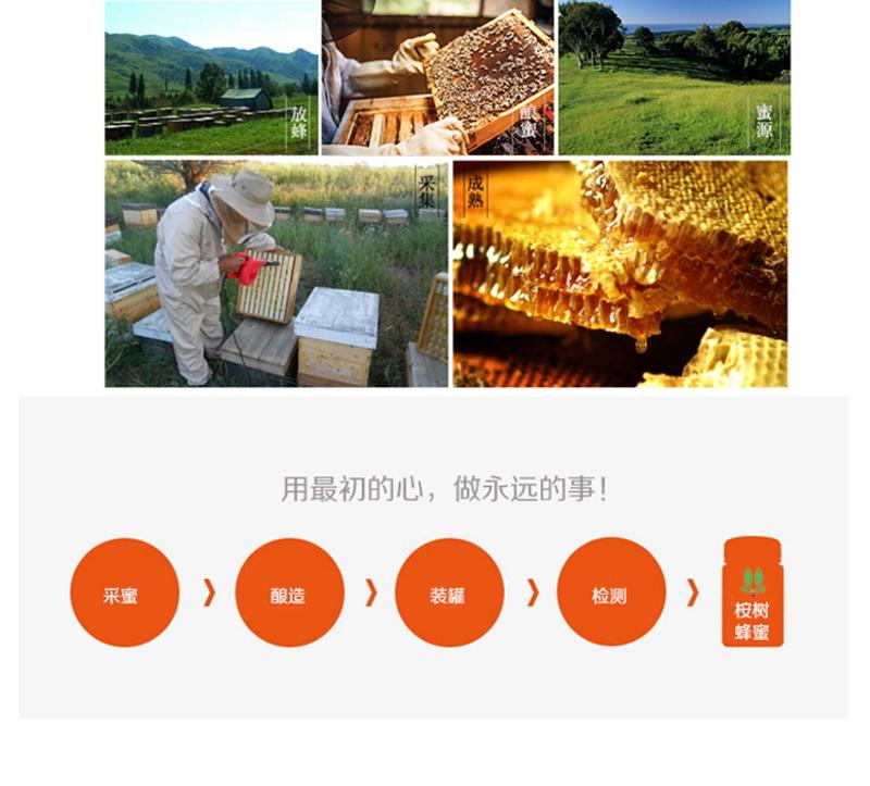 【澳新亿天】丽珀澳大利亚桉树蜂蜜500g