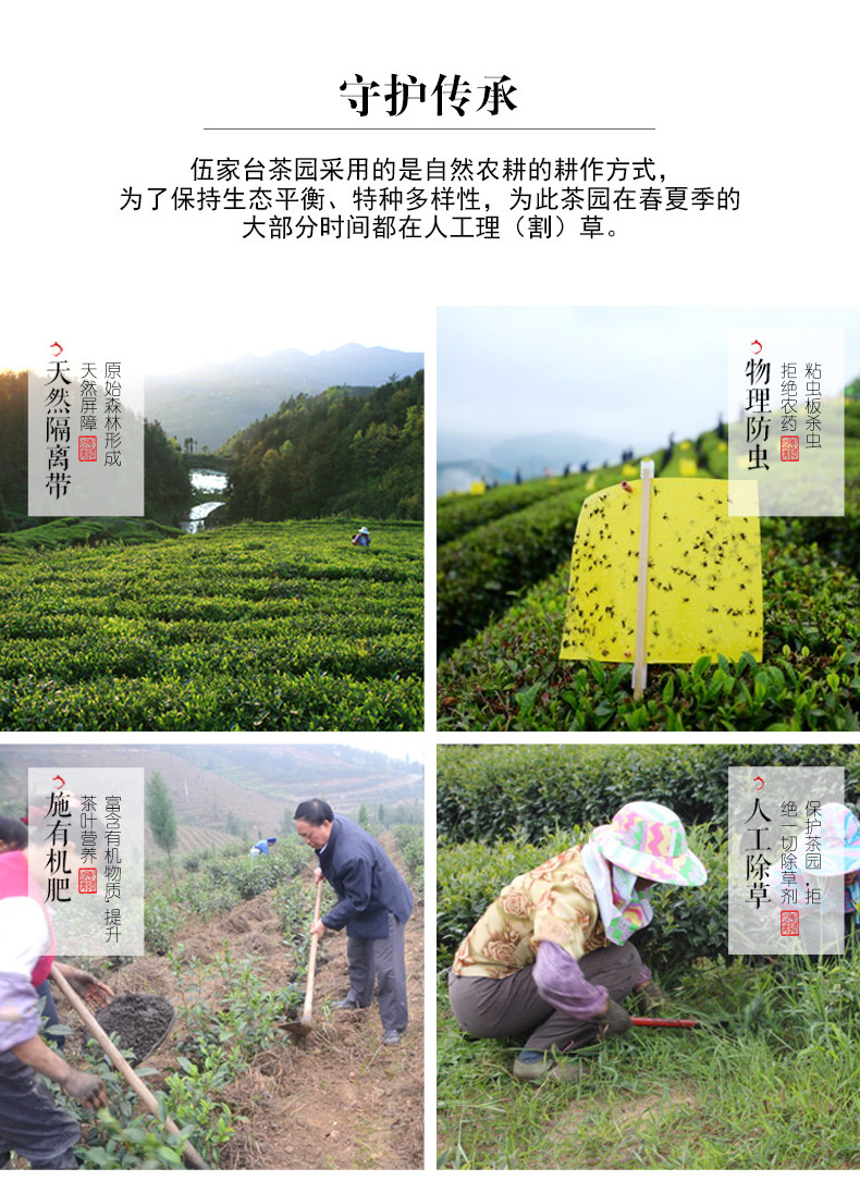 皇恩宠锡-宣恩伍家台贡茶100g*2罐（红茶绿茶各1罐）