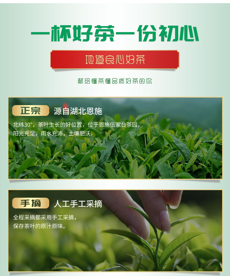 恩施宣恩伍家台贡茶炒青香茶100g/袋