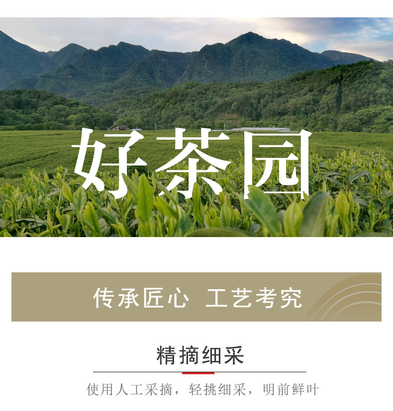 【邮政扶贫-湖北宣恩】恩施硒茶新茶伍家台贡茶瑶圃小袋茶明前特级绿茶礼盒装300g