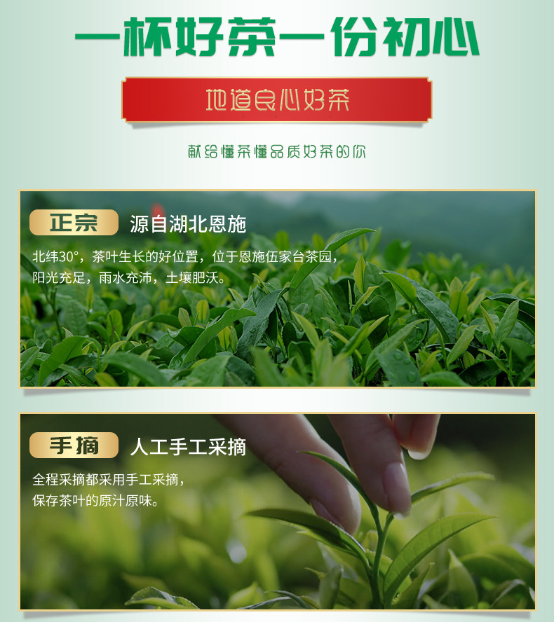 【邮政扶贫】绿茶恩施硒茶伍家台贡茶明前特级绿针100g/袋