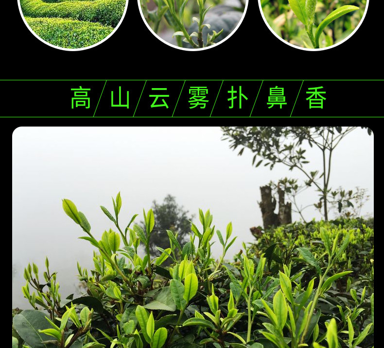 【湖北特产】绿茶恩施硒茶伍家台贡茶瑶圃栗香型香茶半斤250g/袋