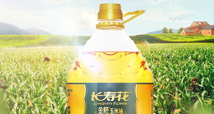 长寿花  金胚玉米油4.5L 非转基因物理压榨食用油