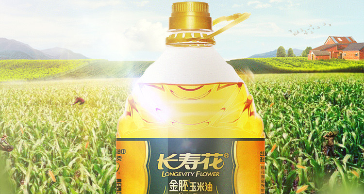 长寿花 金胚玉米油3.78L 非转基因物理压榨一级食用油