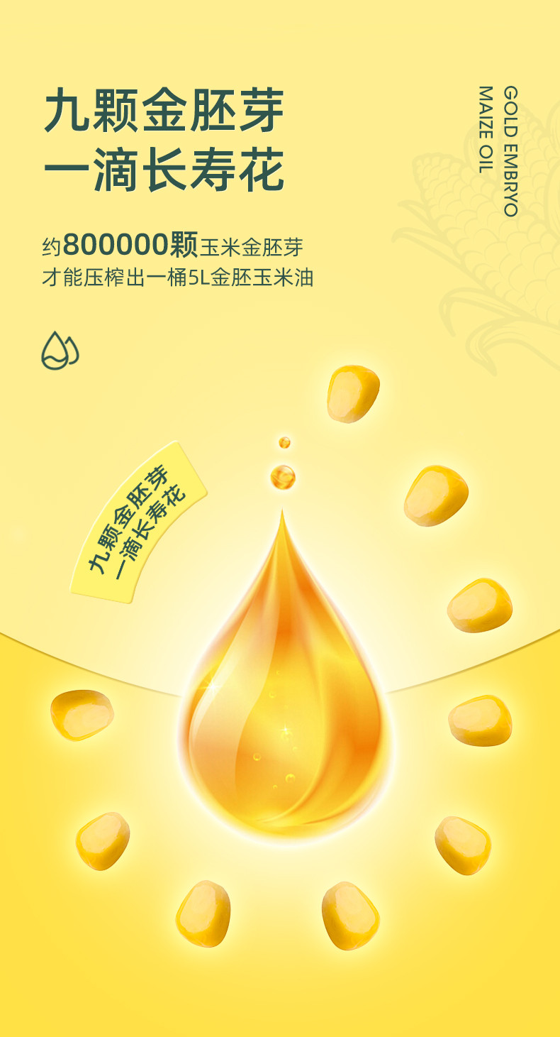 长寿花 长寿花 金胚玉米油900ml 非转基因玉米油食用油