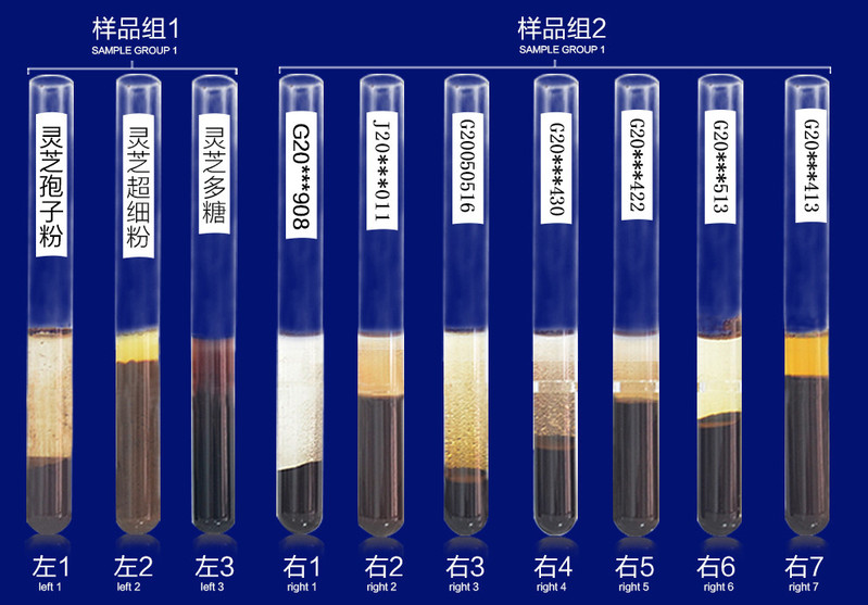 菇新 破壁灵芝孢子粉颗粒 1g/包*126包 灵芝粉 增强免疫力 保健食品