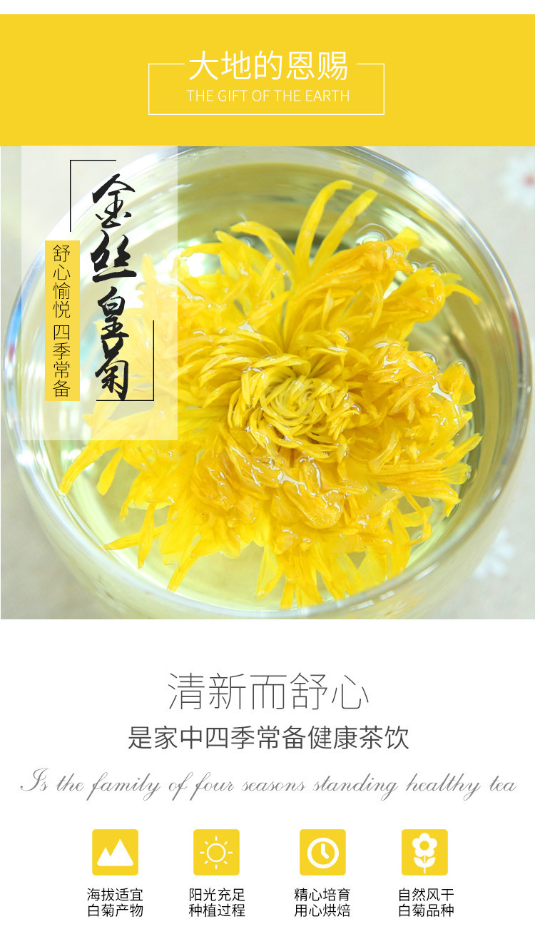 【临汾振兴馆】菊花茶一朵一杯清热去火活动价仅售12.9元罐装包邮