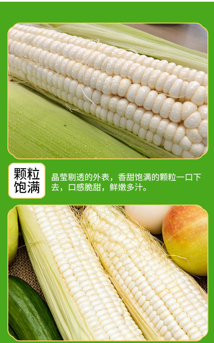 【汾西】农家新鲜甜糯玉米棒现摘现发5斤装包邮