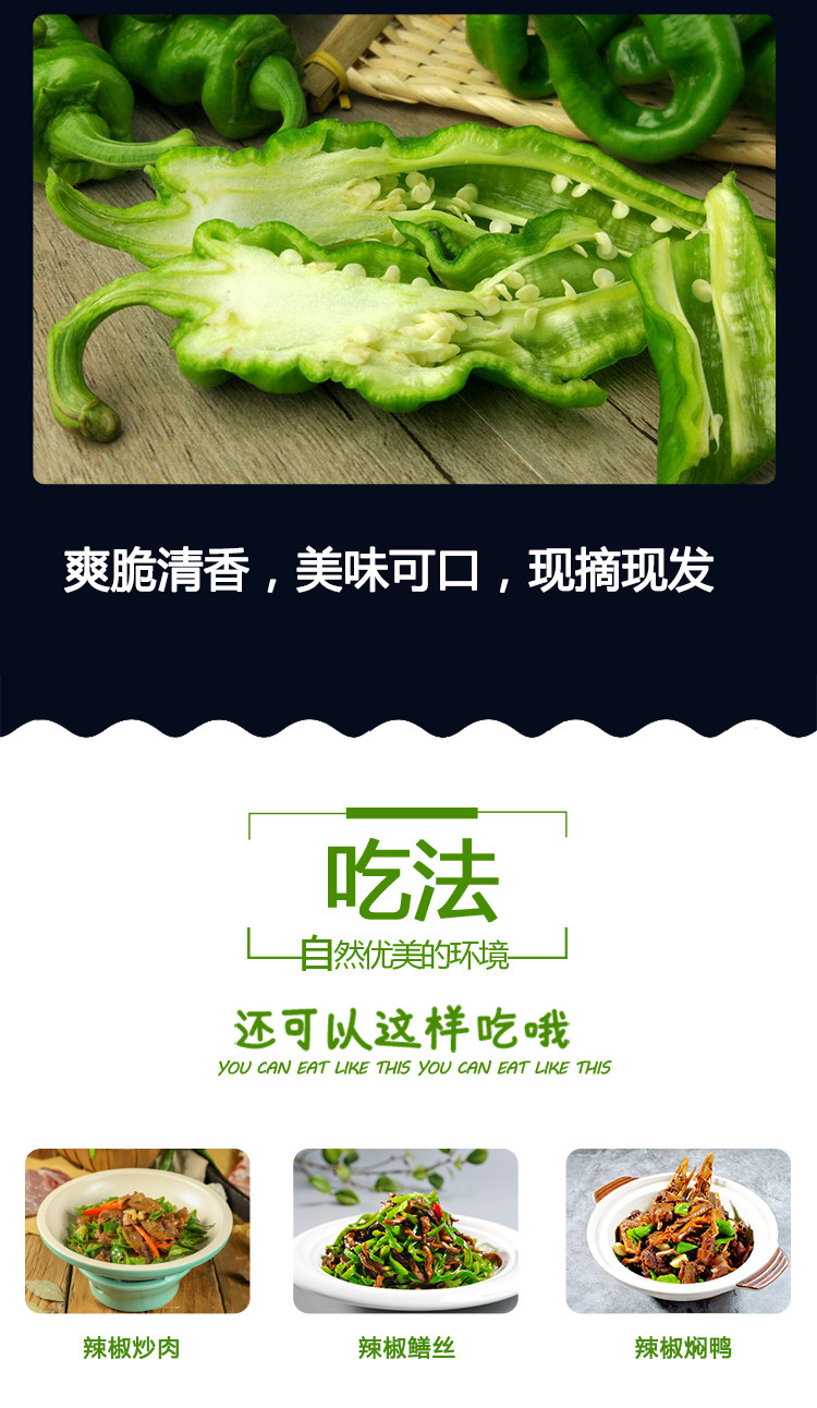 【平阳馆】新鲜螺丝椒5斤包邮农家自种当应季蔬菜 青辣椒 2斤/3斤/5斤