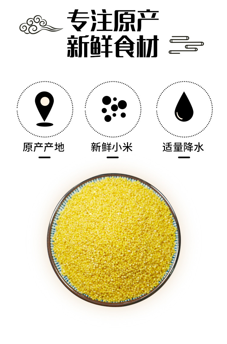 【山西临汾】隆化小米山西特产黄小米一级实惠装（5斤装）