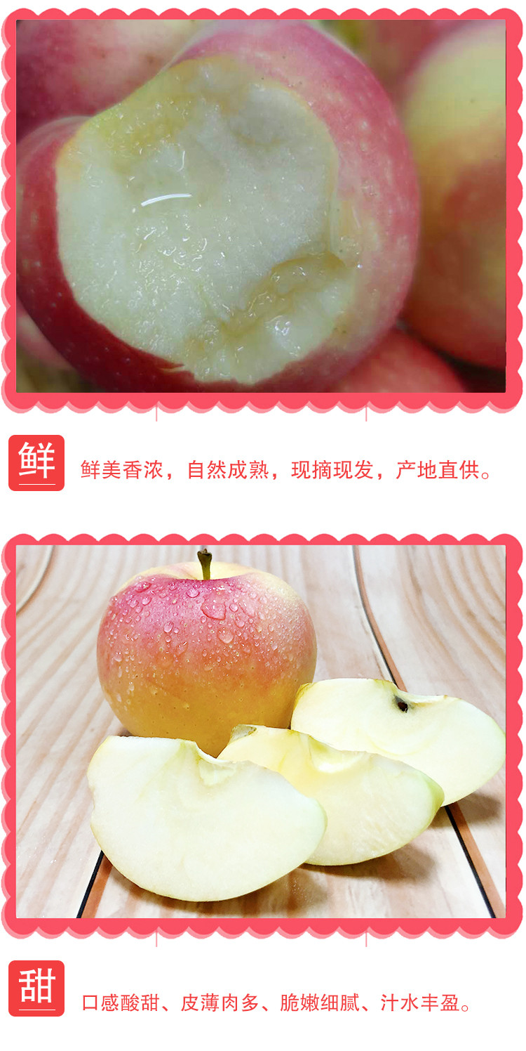 农家自产 【山西临汾】吉县苹果一级红富士苹果12枚8斤