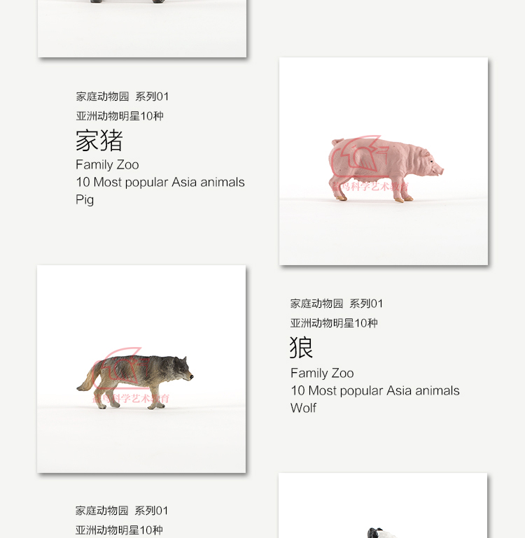 PNSO 恐龙大王 家庭动物园 亚洲动物明星10种