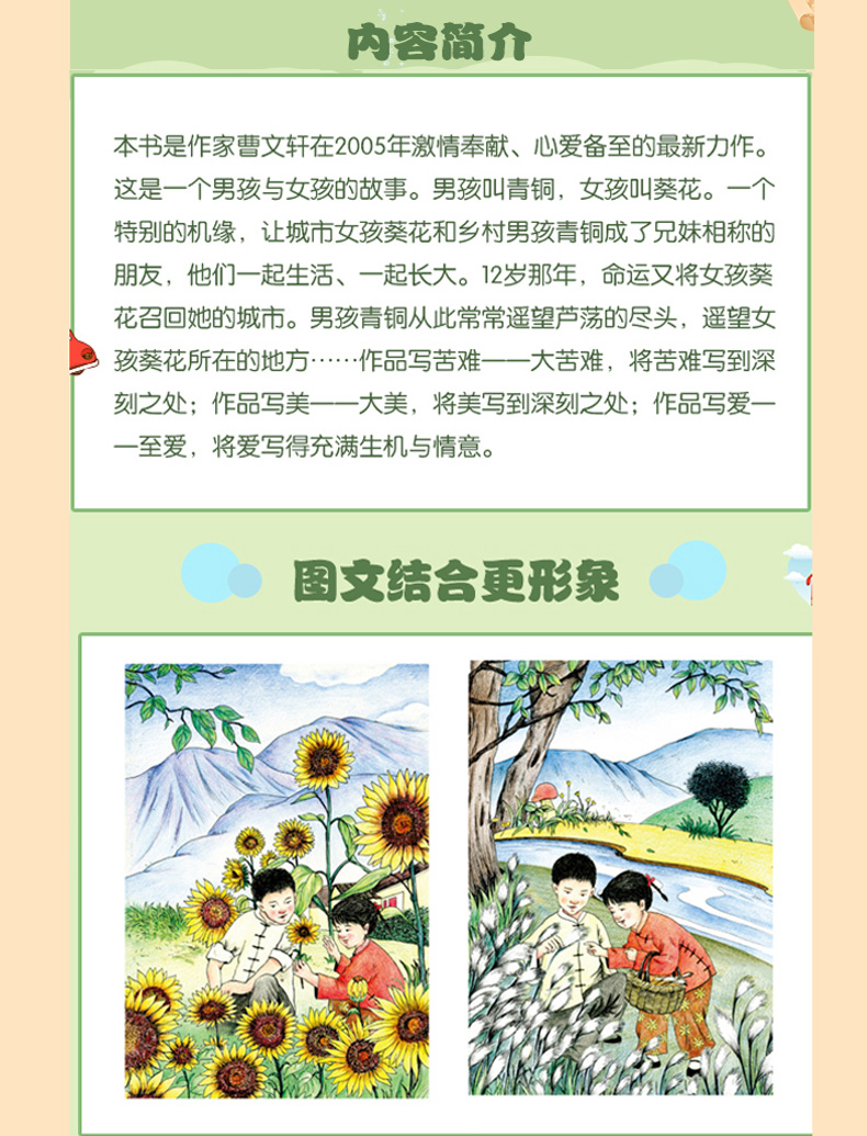 青铜葵花手抄报大全图片