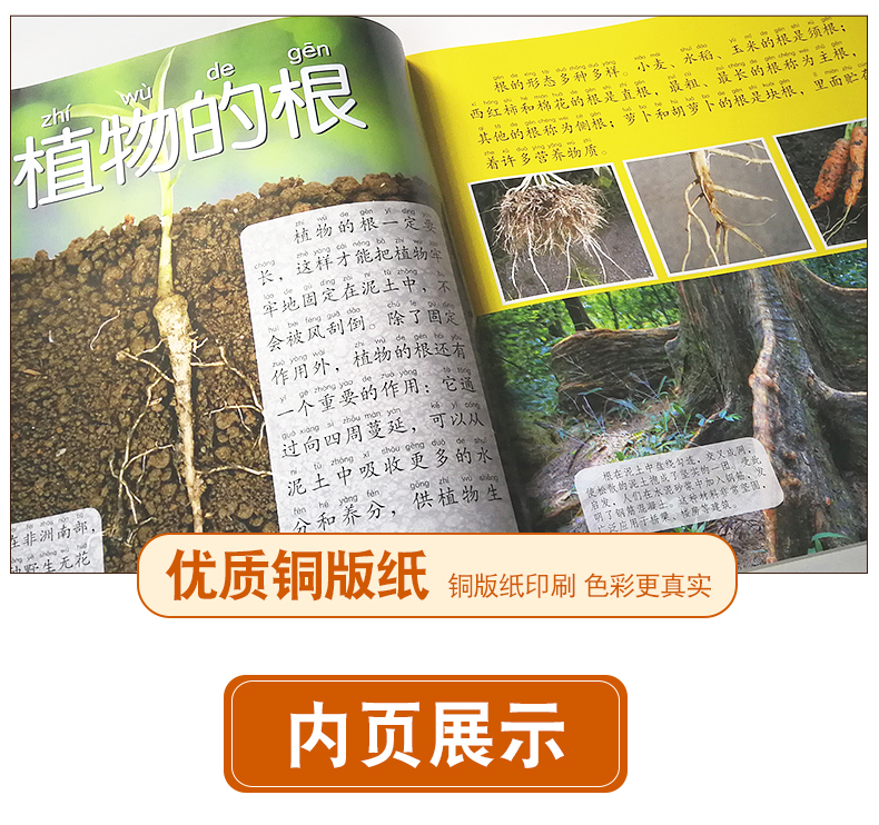 植物大百科绘本十万个为什么注音科普小百科读物全套科学启蒙（文）