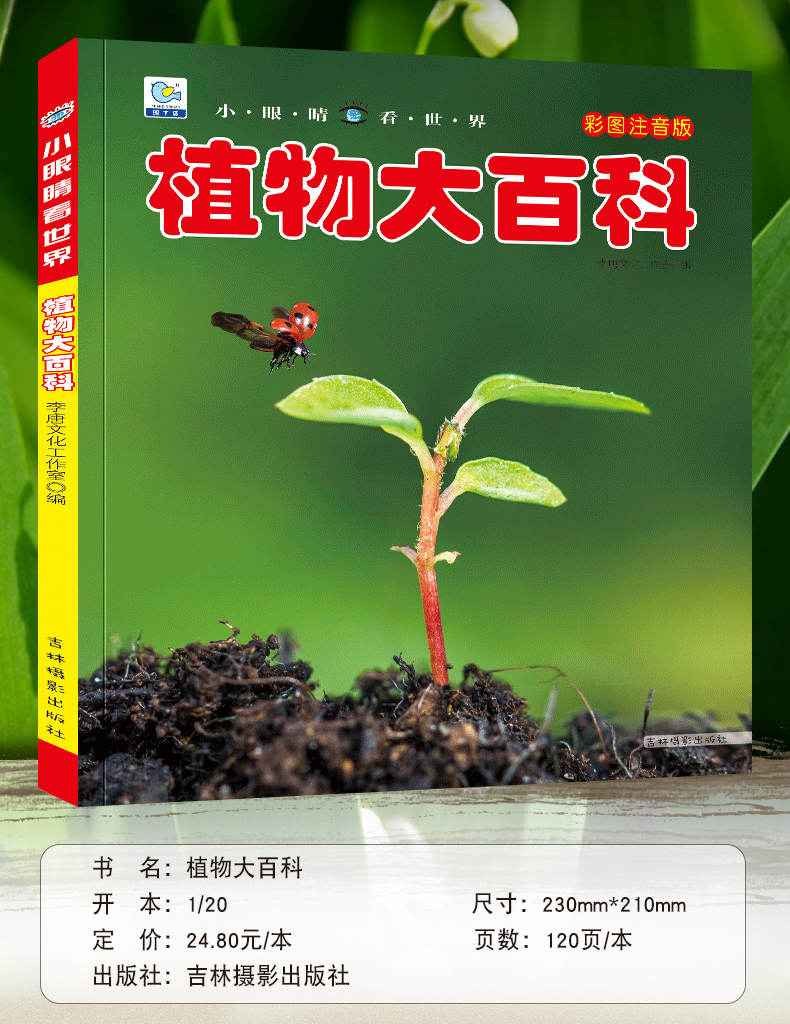 植物大百科绘本十万个为什么注音科普小百科读物全套科学启蒙（文）