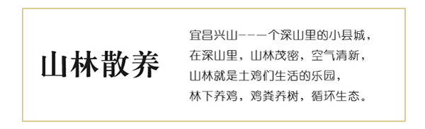  农家散养土鸡蛋新鲜柴鸡蛋草鸡蛋笨鸡蛋30枚