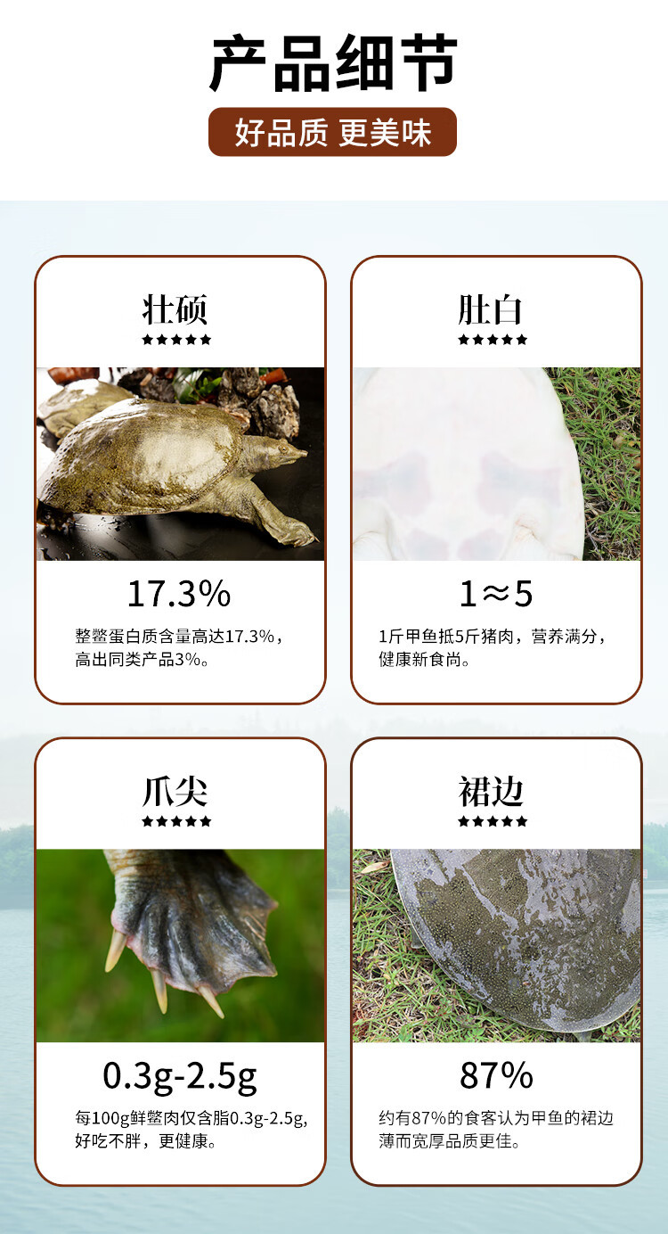 华甲 汉寿甲鱼鲜活食用野外生长中华老鳖2斤