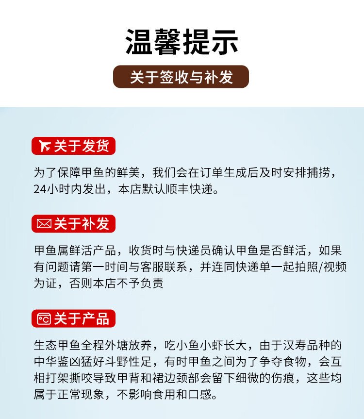 华甲 汉寿甲鱼鲜活食生态中华老鳖（直播款）