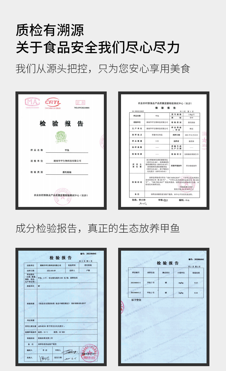 华甲 汉寿甲鱼鲜活现杀野外中华老鳖2斤宰杀后(除去内脏≥700g）