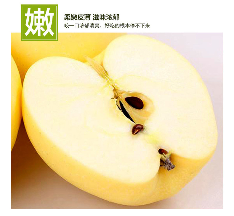 乐氏福黄金奶油富士苹果 脆甜多汁约5斤 产地直发
