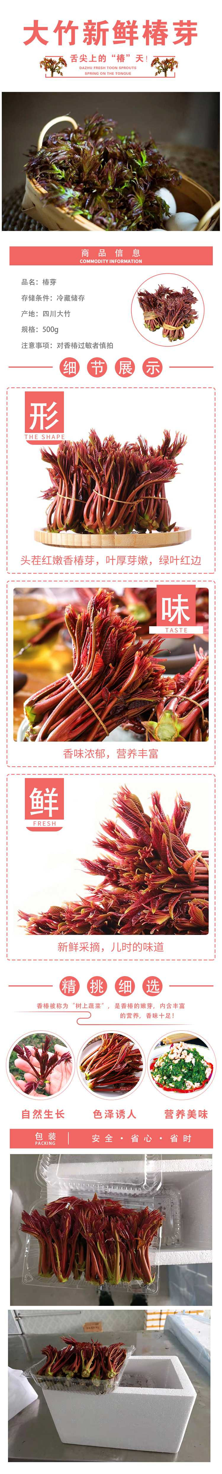 【大竹特产】舌尖上的“椿”天  500g 新鲜椿芽 泡沫箱+冰袋包装 48小时发货 周末顺延