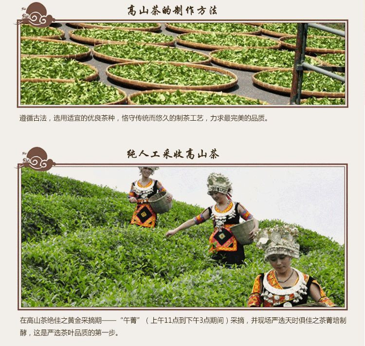 早雾青 乌龙茶 富硒茶 有机茶50g*2 铁罐体验装【买一送一】