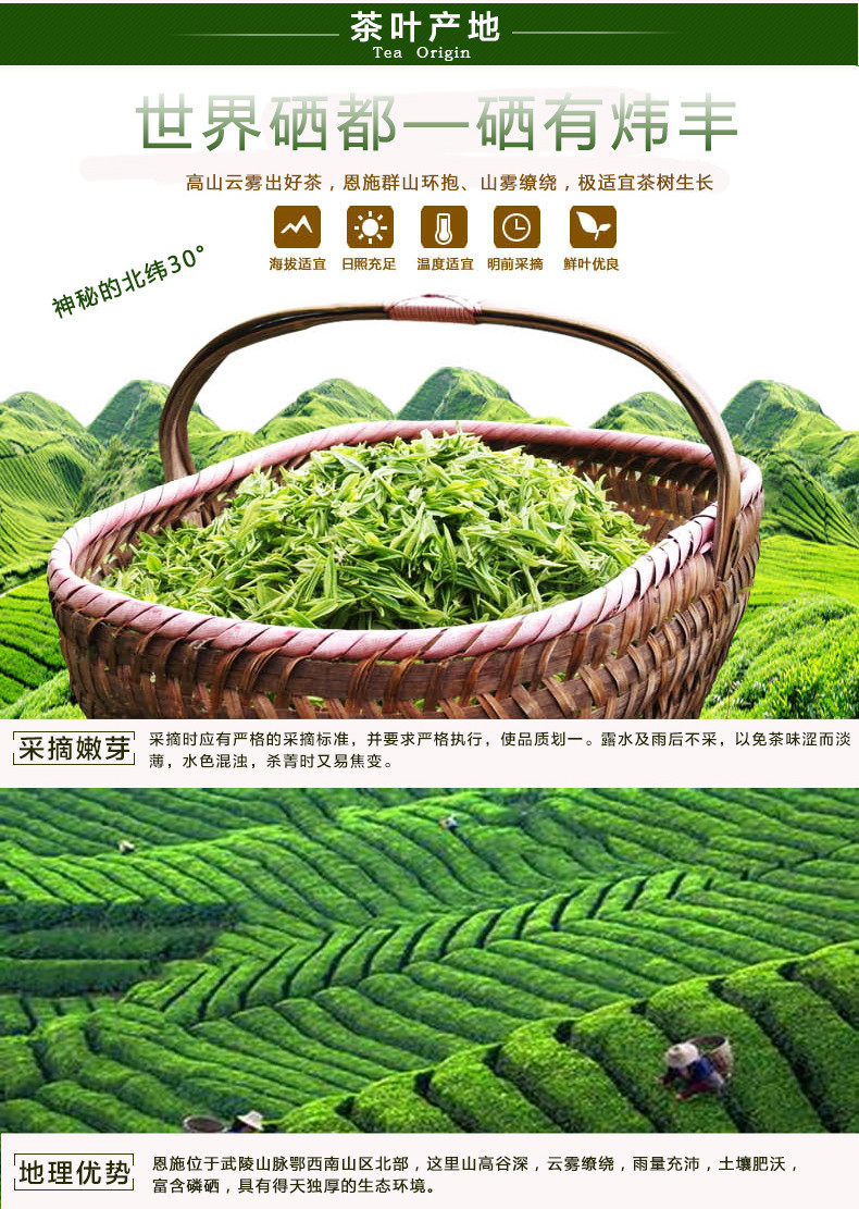 炜丰 官店香茗 富硒高山绿茶 400g 礼盒装