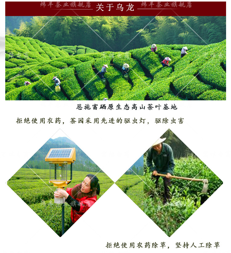 炜丰乌龙茶 高山乌龙茶礼盒装400g