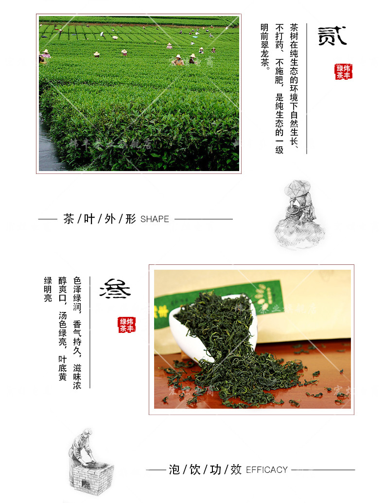 炜丰 毛峰散茶 富硒有机绿茶 家庭装 250g牛皮纸袋装【买二送一】