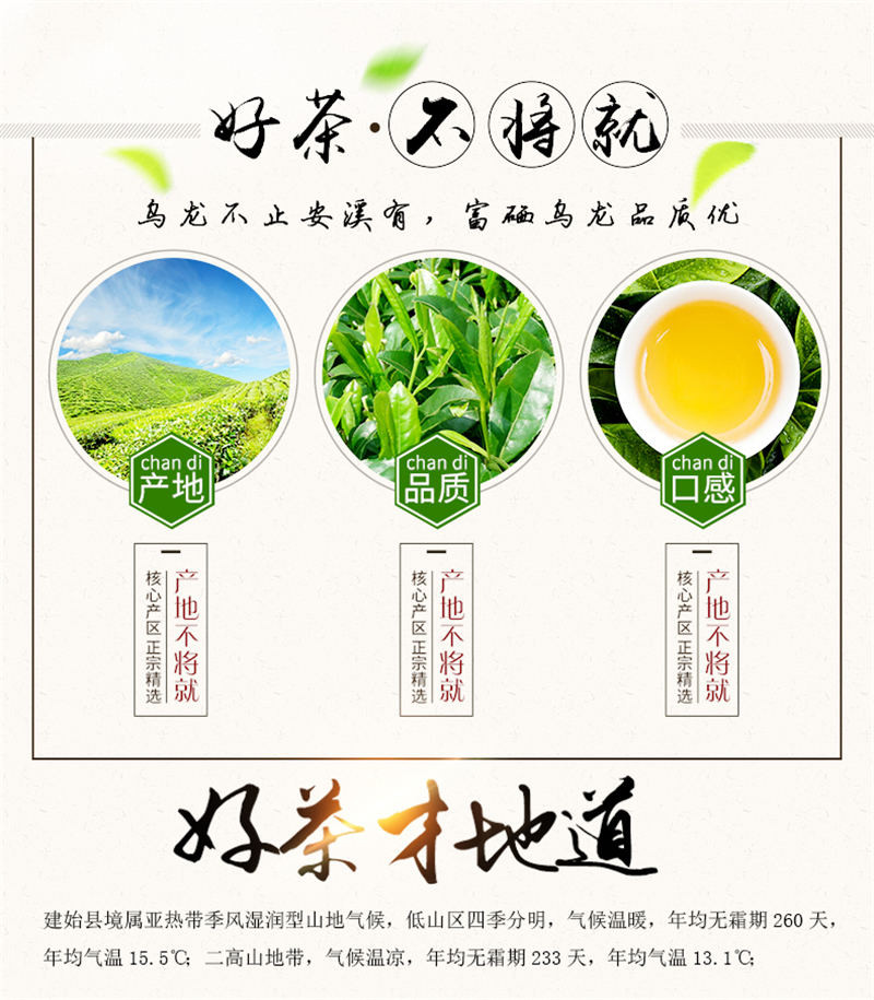 早雾青富硒茶炜丰乌龙茶高山乌龙茶 154g礼盒装