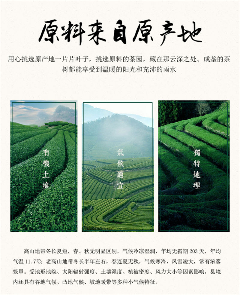 早雾青富硒茶炜丰乌龙茶高山乌龙茶 154g礼盒装