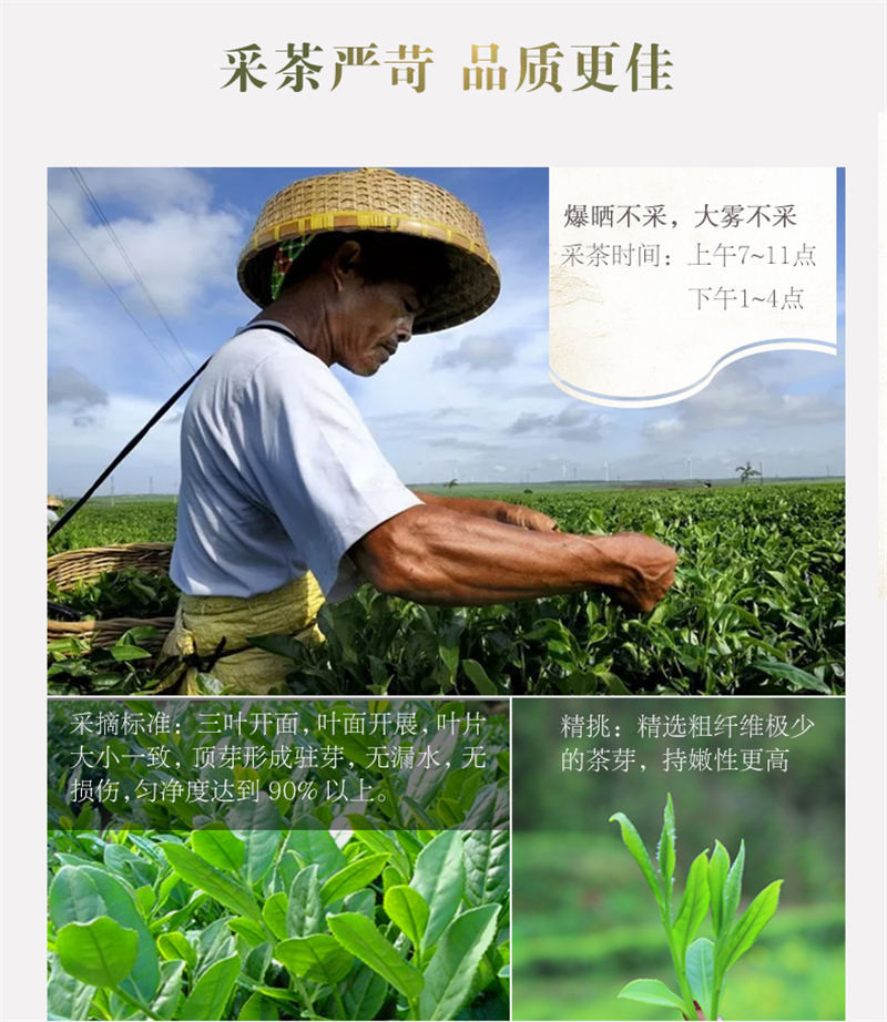 早雾青富硒茶炜丰乌龙茶高山乌龙茶 154g礼盒装