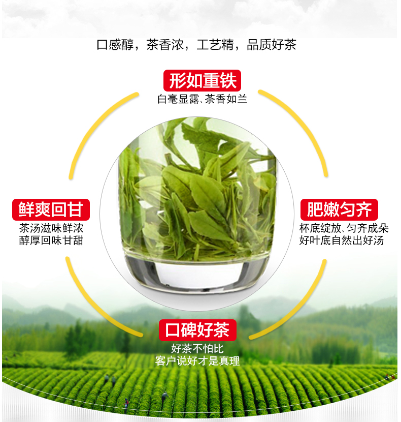 早雾青 乌龙茶 炜丰有机茶 富硒茶 家庭装150g