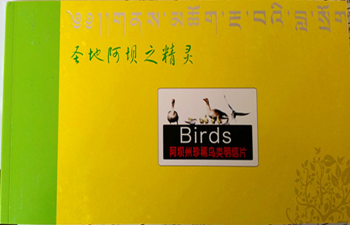 中国邮政 圣地阿坝之精灵（阿坝州珍稀鸟类明信片）可免费代盖藏汉双语日戳