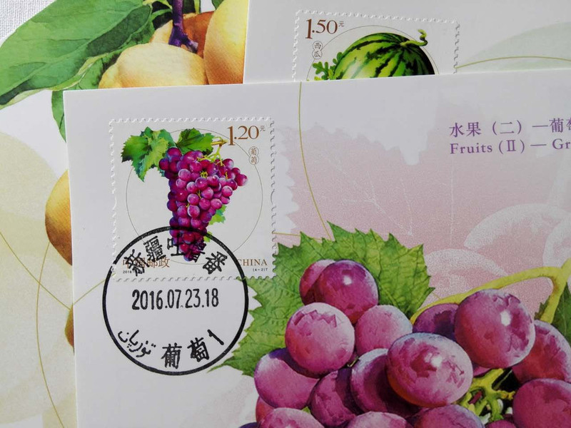 中国邮政 MC-113 水果二邮票极限片4全 四地邮戳 新疆吐鲁番葡萄明信片