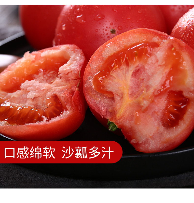 阿坝理县薛城番茄（西红柿） 生鲜蔬果  2斤装
