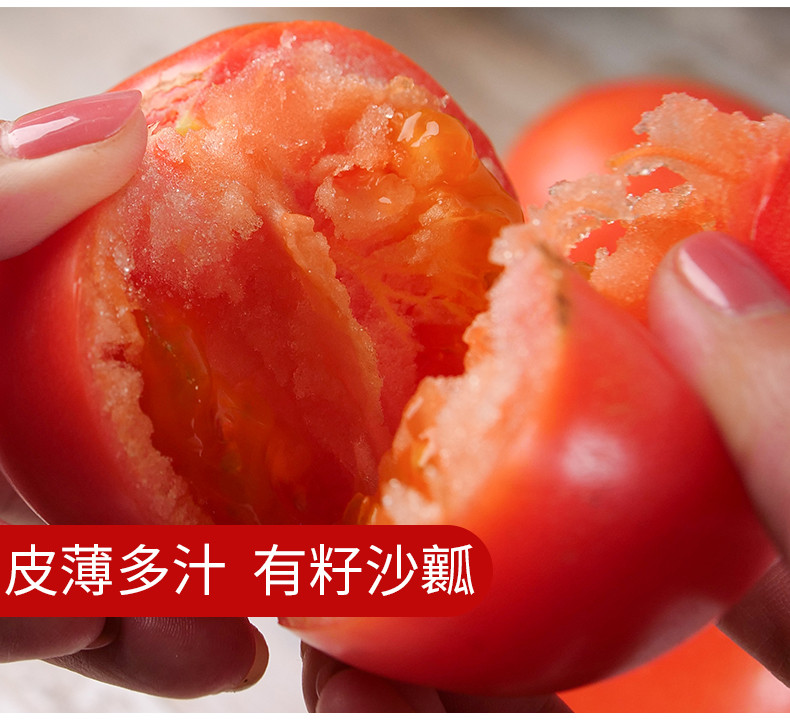 薛城番茄（西红柿） 生鲜蔬果  5斤装   限省内及重庆区域  包邮