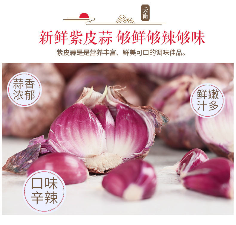 云南紫皮红蒜新鲜农蔬菜干大蒜头糖醋鲜蒜头现挖5斤叶菜类湿蒜