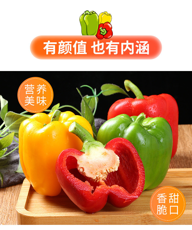 农家自产 新鲜山东彩椒 甜柿椒灯笼椒 水果沙拉椒 品正型 好个大