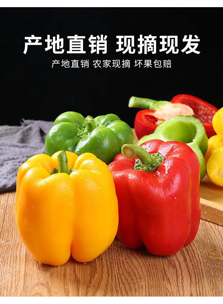 农家自产 新鲜山东彩椒 甜柿椒灯笼椒 水果沙拉椒 品正型 好个大