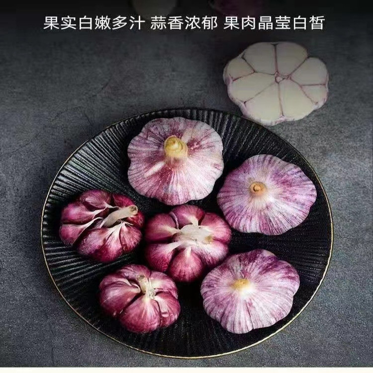 农家自产 云南紫皮蒜 干蒜皮红皮 多瓣蒜头 食用香蒜