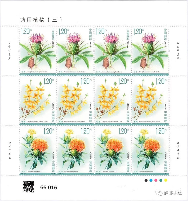 藏邮鲜 2023-20 药用植物(三) 特种邮票大版张版式一完整版