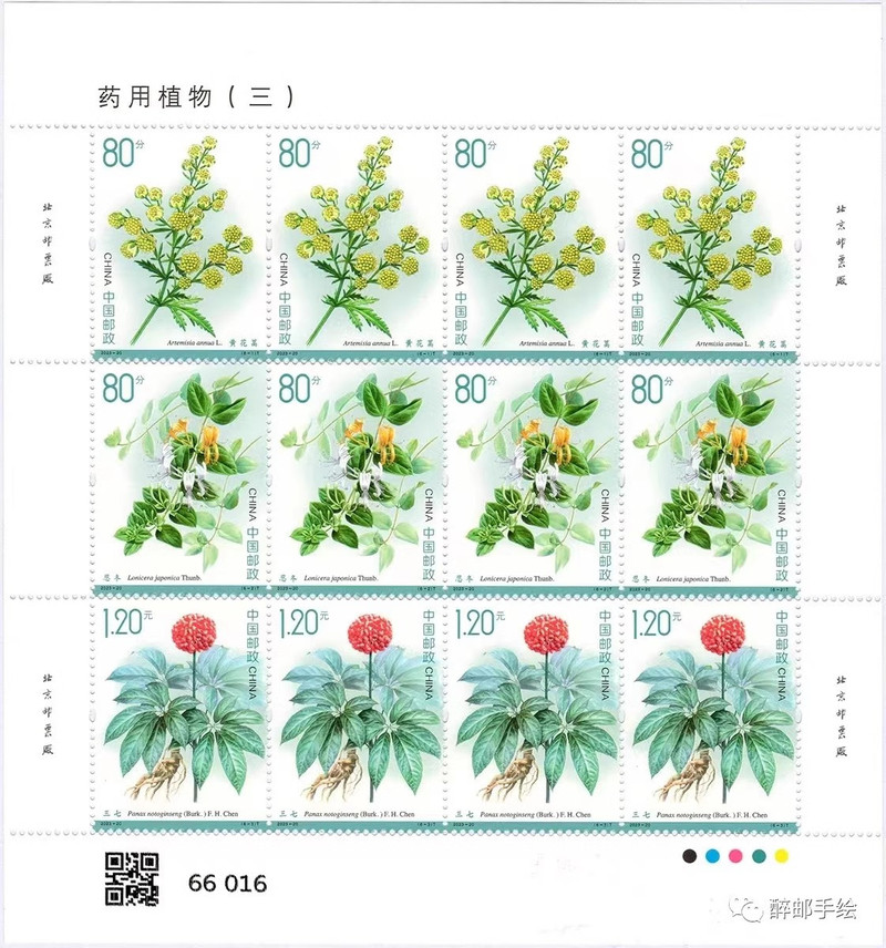 藏邮鲜 2023-20 药用植物(三) 特种邮票大版张版式一完整版