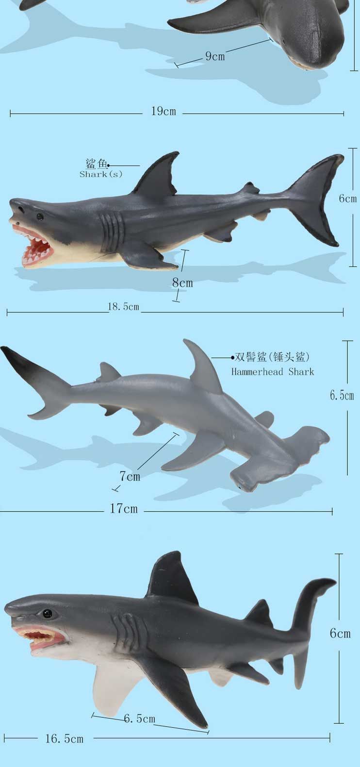 活石 仿真抹香鲸大白鲨海龟海豹鲨鱼蓝鲸模型虎鲸海洋世界动物模型玩具