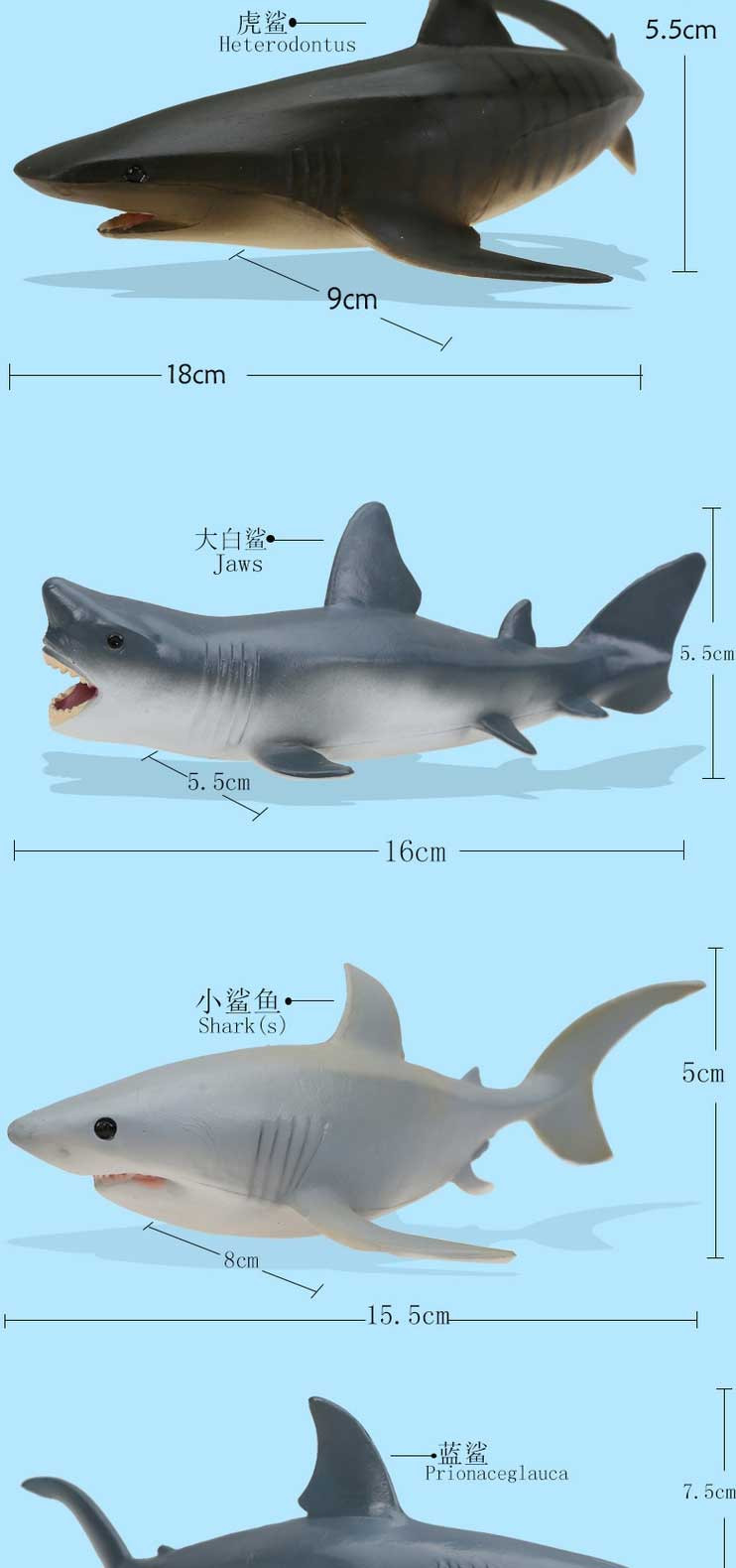 活石 仿真抹香鲸大白鲨海龟海豹鲨鱼蓝鲸模型虎鲸海洋世界动物模型玩具