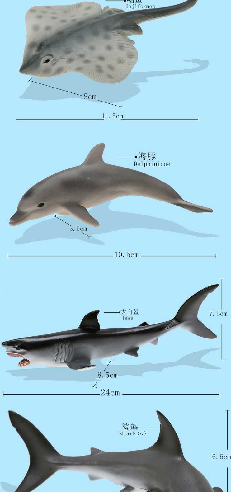 活石 仿真抹香鲸大白鲨海龟海豹鲨鱼蓝鲸模型虎鲸海洋世界动物模型玩具