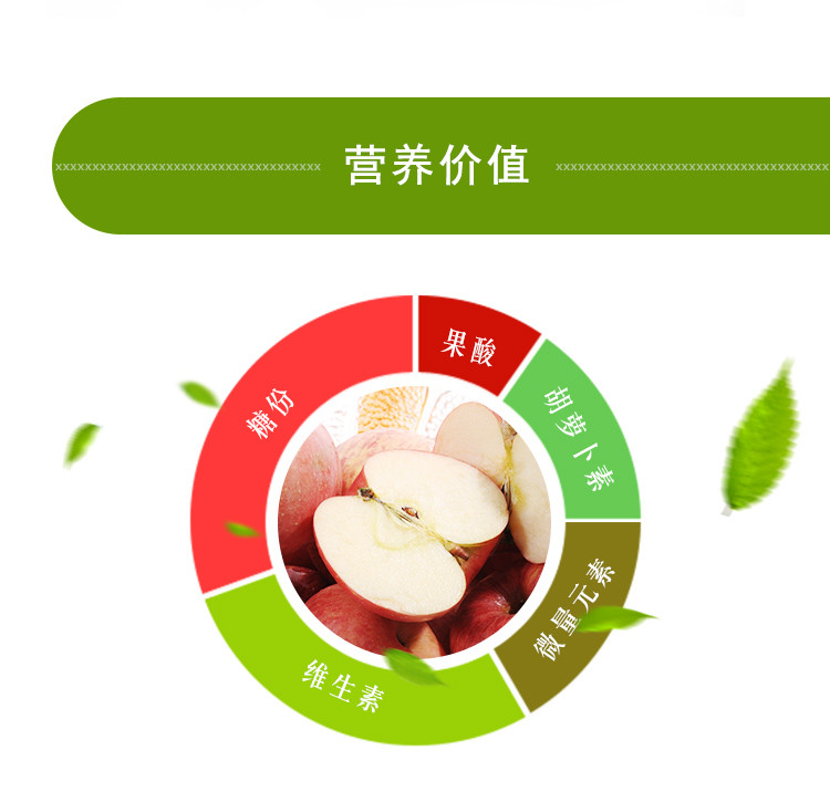 【酒泉扶贫馆】西部特产 大基地冻干果蔬苹果片 35g*2罐