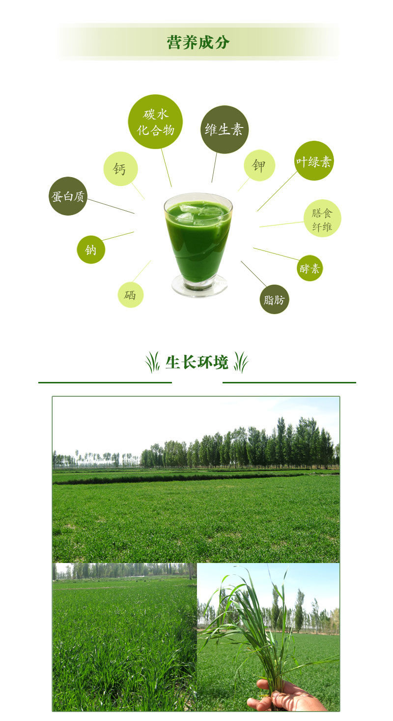 【酒泉扶贫馆】大基地 大麦青汁 3g*40袋